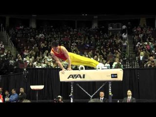 Wei Sun (CHN) - Pommel Horse - 2016 AT&T American Cup