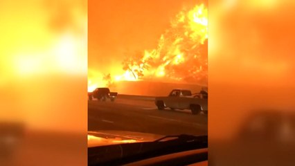 [영상] LA 산불 현장, 옆에서 보니 '불지옥' / YTN