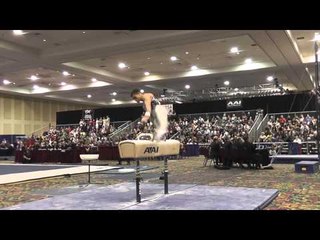 Donothan Bailey - Pommel Horse - 2015 Winter Cup Finals