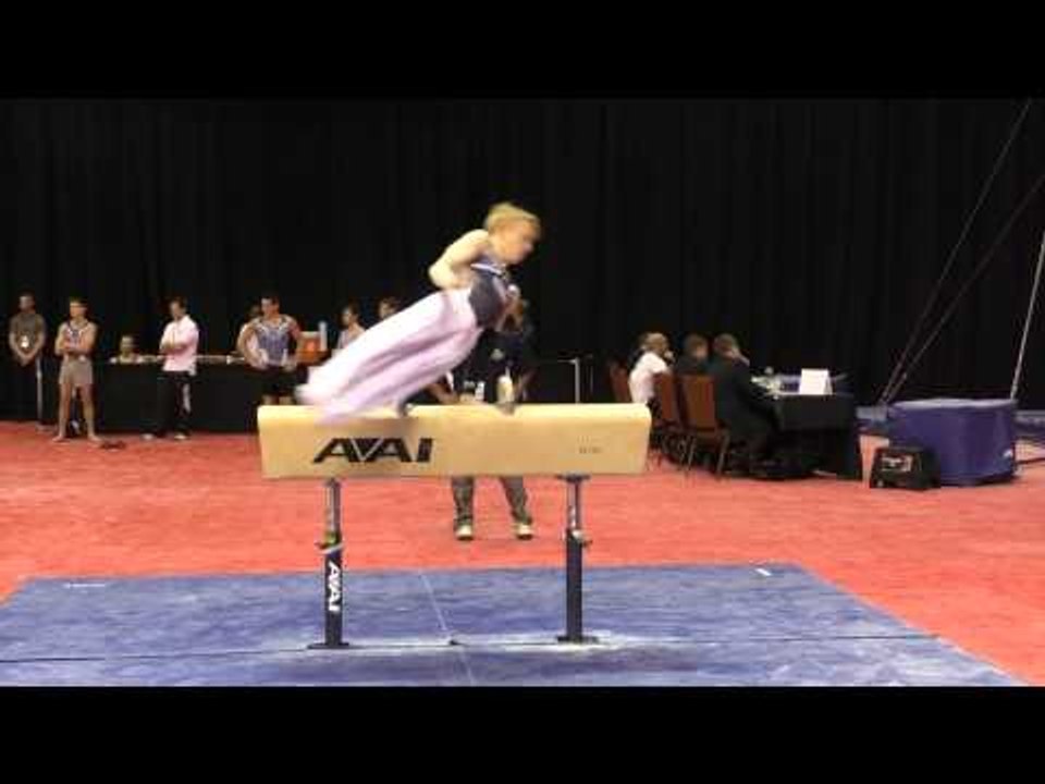 NIcholas Merryman - Pommel Horse - 2015 Men's Junior Olympic Championships