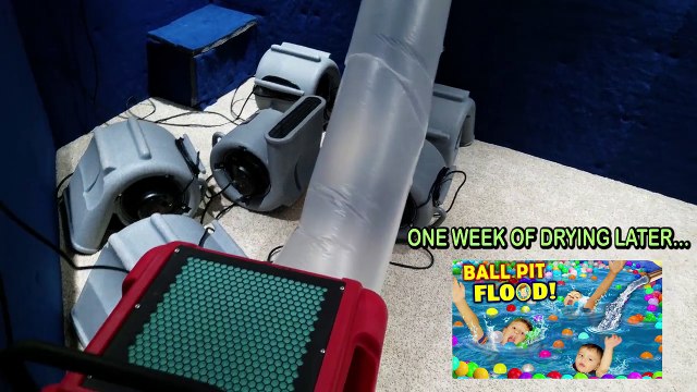 EWW, HE ATE IT! Diapers & Flooded Ball Pit Balls Part 2 (FUNnel Vision Re-Upload House Flood Vlog-sxxECUQM4kc