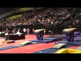 Anthony McCallum - Vault - 2015 Men's Junior Olympic Championships