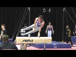 Grant Breckenridge - Pommel Horse - 2015 Men's Junior Olympic Championships