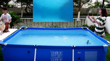 THỘN VÀ THỐN AI BƠI GIỎI HƠN