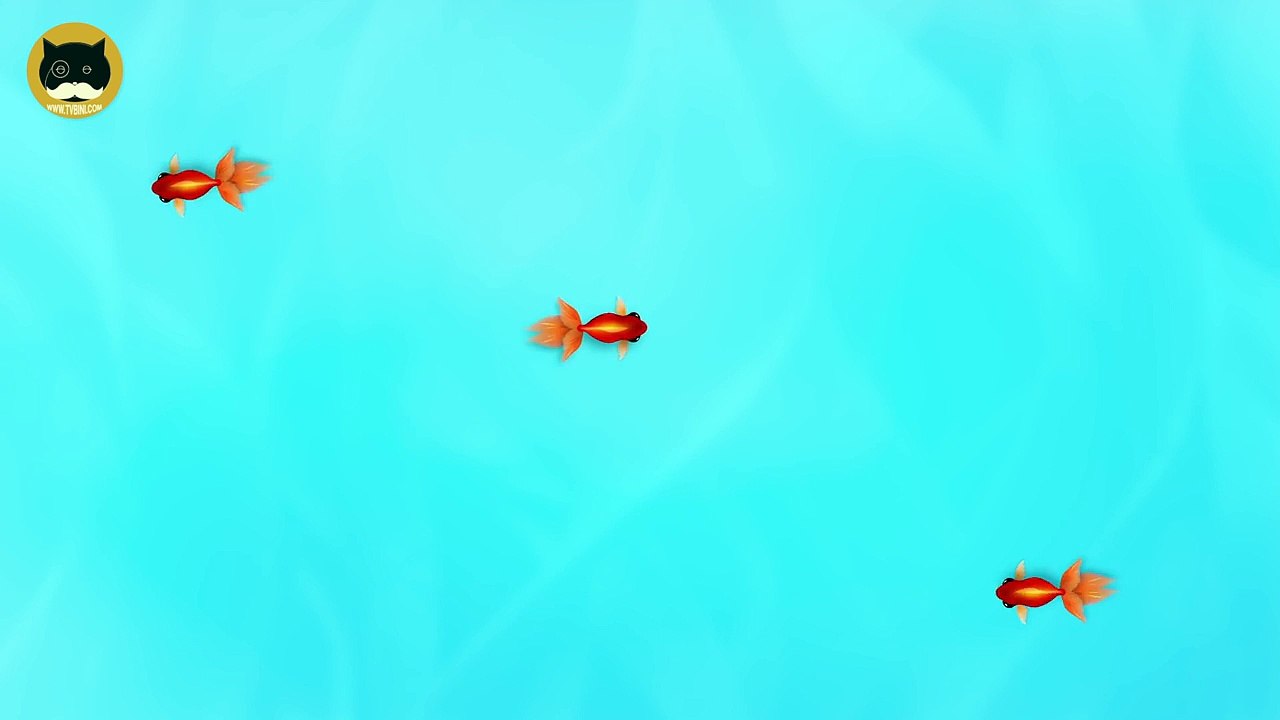CAT GAMES ON SCREEN - Catching Goldfish! Entertainment Video for Cats to Watch.