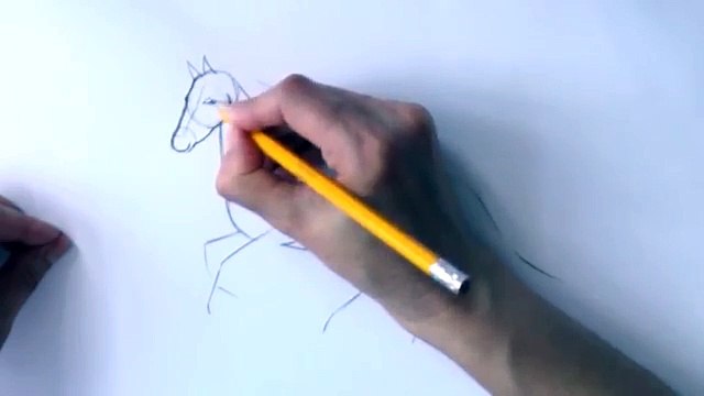 Уроки рисования. Как научиться рисовать лошадь карандашом