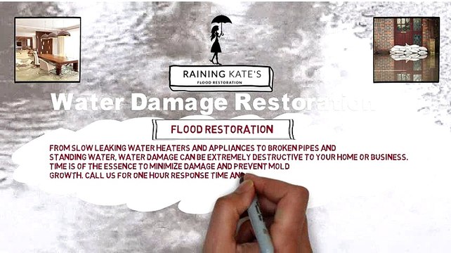 Raining Kate Presentation Video