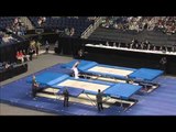 Jeffery Gluckstein - Optionals - 2015 USA Gymnastics Championships