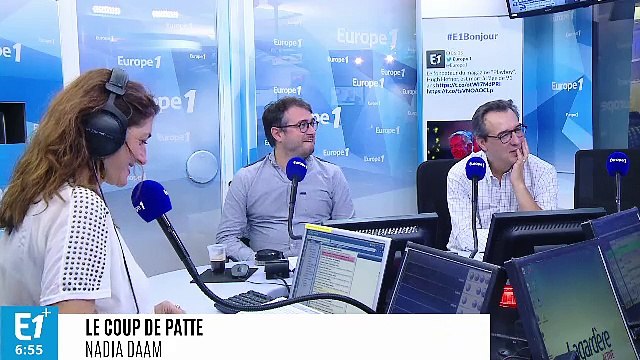 Livre de recette : de bons petits plats pour les chats