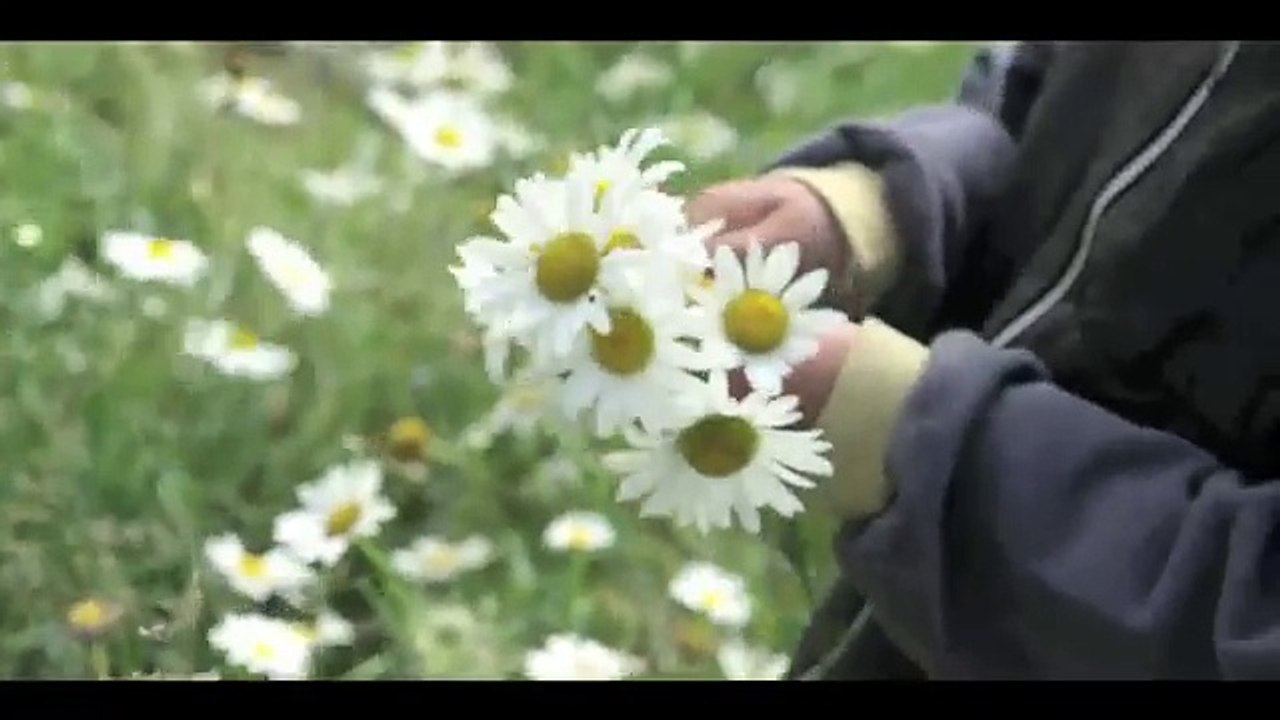 Pandit Shivkumar Sharma - Karein Wahi Jo Ho Sahi