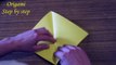 Step by step origami for beginners Water Lily (Lotus Flower)