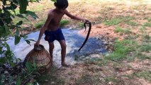 Wow! Two Boys Catch Big Water Snake In Jungle - Catch Big Water Snake With Hand