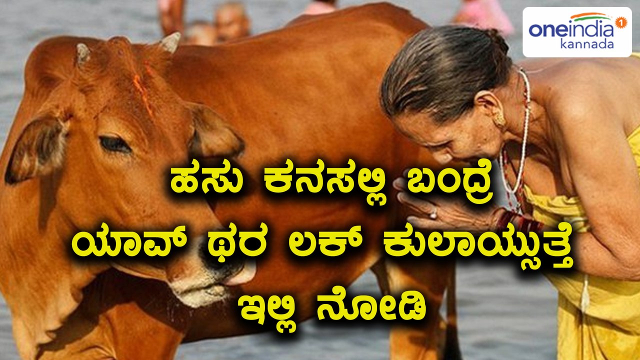 If Cow Comes In Your Dreams Means What Will Hap...