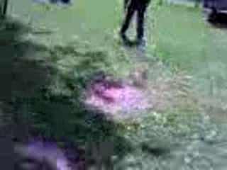 dernier jour de cours au collège