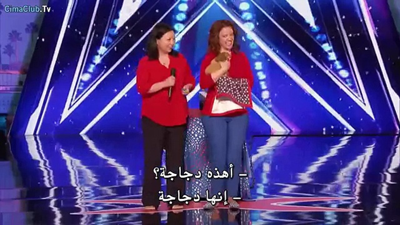 دجاجه تعزف علي البيانو Watch the chickens playing the piano