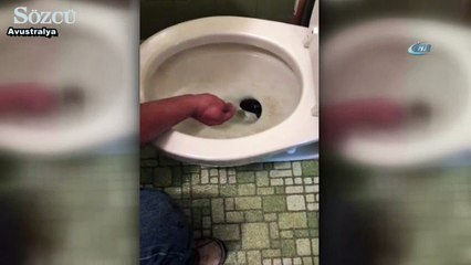 Dev yılan klozetten böyle çıkarıldı