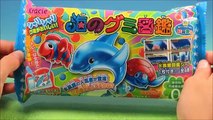 Kracie Popin Cookin Japanese DIY Happy Kitchen Dolphin Gummy Candy Making Kit