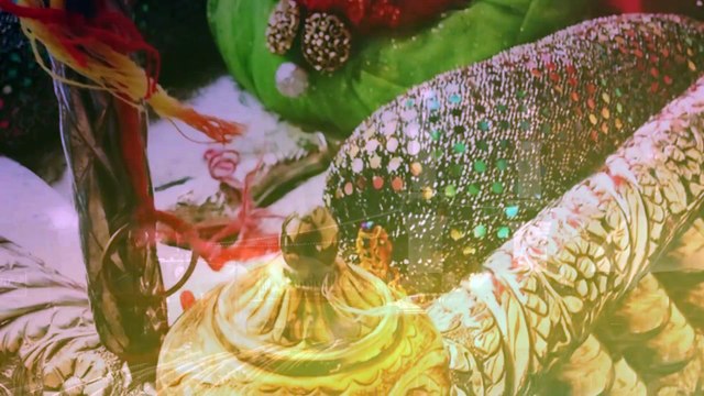 Taiku Bhaini Raj Na Takya | SAYYED ZAIRE NAQVI | Noha Album 2017-18 ...