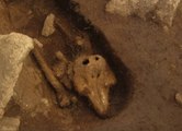 Ortaçağ'dan Kalma Mezarda, Yunus Benzeri Bir Canlının Kemikleri Bulundu