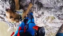 Un homme fait de l'escalade avec son chien