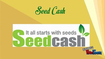 Payday Loans Rate in NZ at Economical Interest