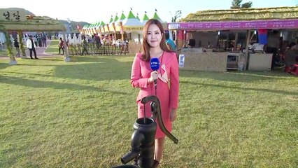 [날씨] 내일 쾌청하지만 쌀쌀...곳곳 가을 축제 / YTN