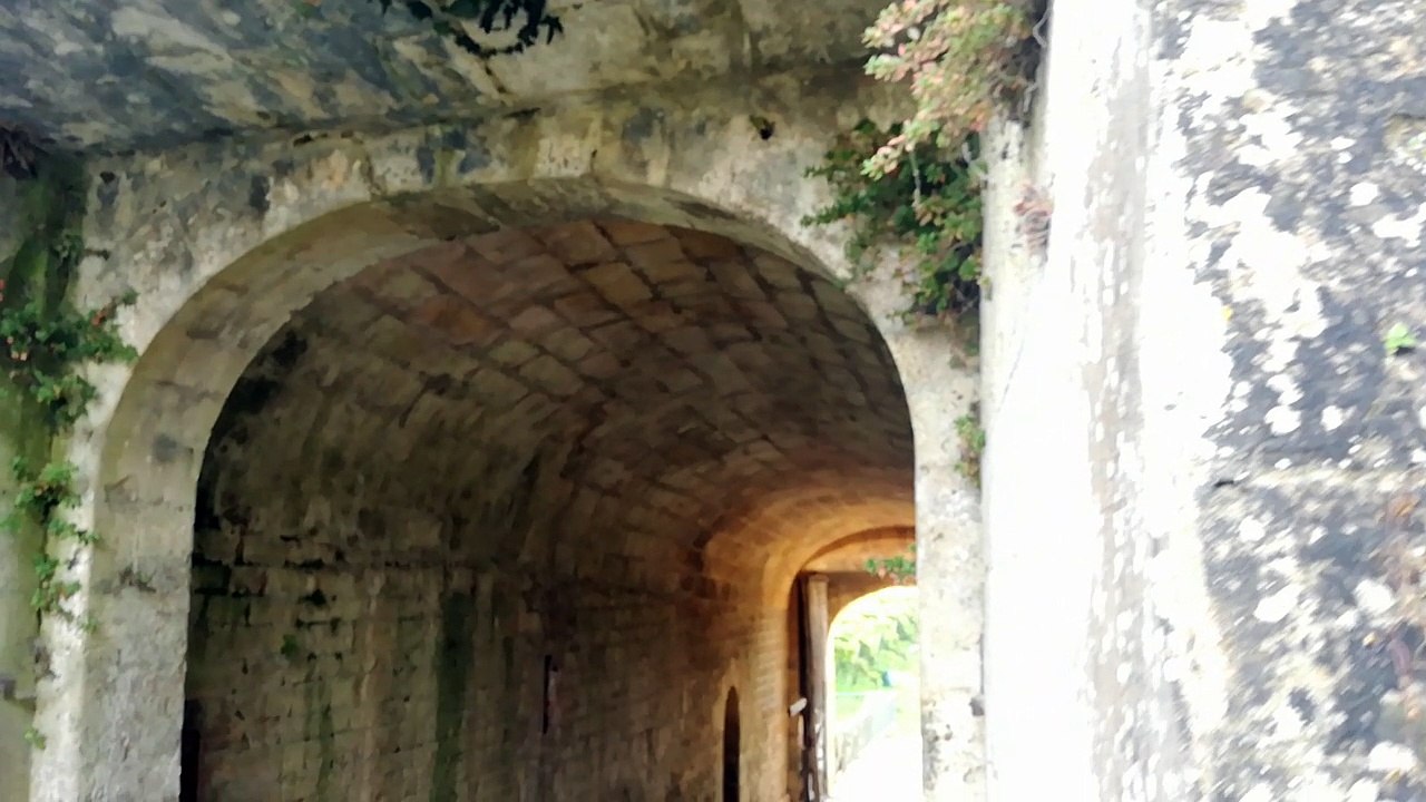 Blaye : vendanges au Clos de l'Echauguette