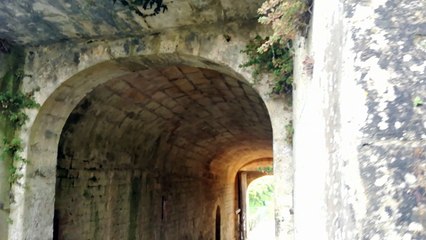 Blaye : vendanges au Clos de l'Echauguette
