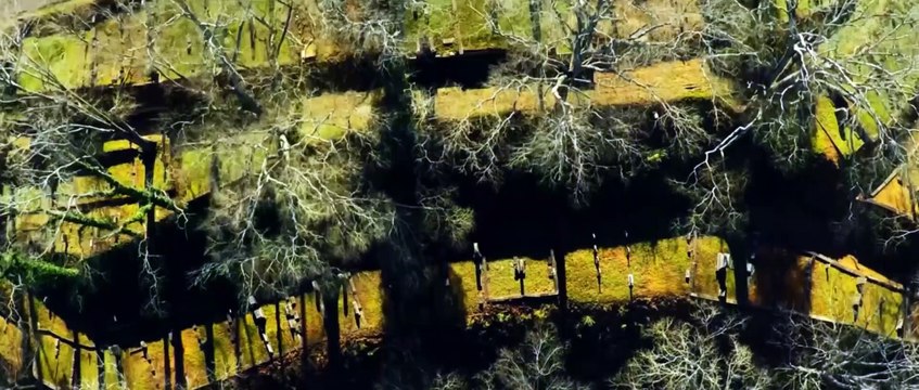 KODAK BLACK ft PNB ROCK Too Many Years