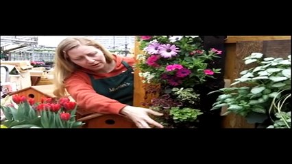 Vertical Container Gardening With Tips and Tricks