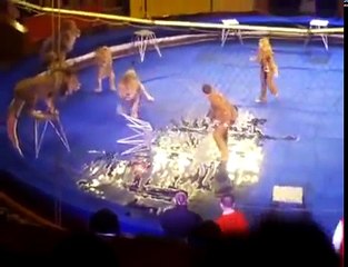 Attaquer par des lions dans un cirque
