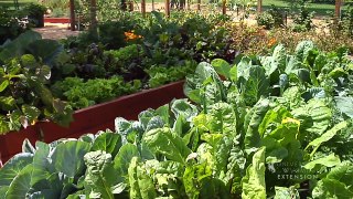 High Elevation Gardening Tips - From the Ground Up