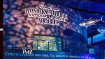 Mark Wahlberg Goes Scuba Diving In Awesome New Aquarium _ TMZ TV-reJpqtUggmM