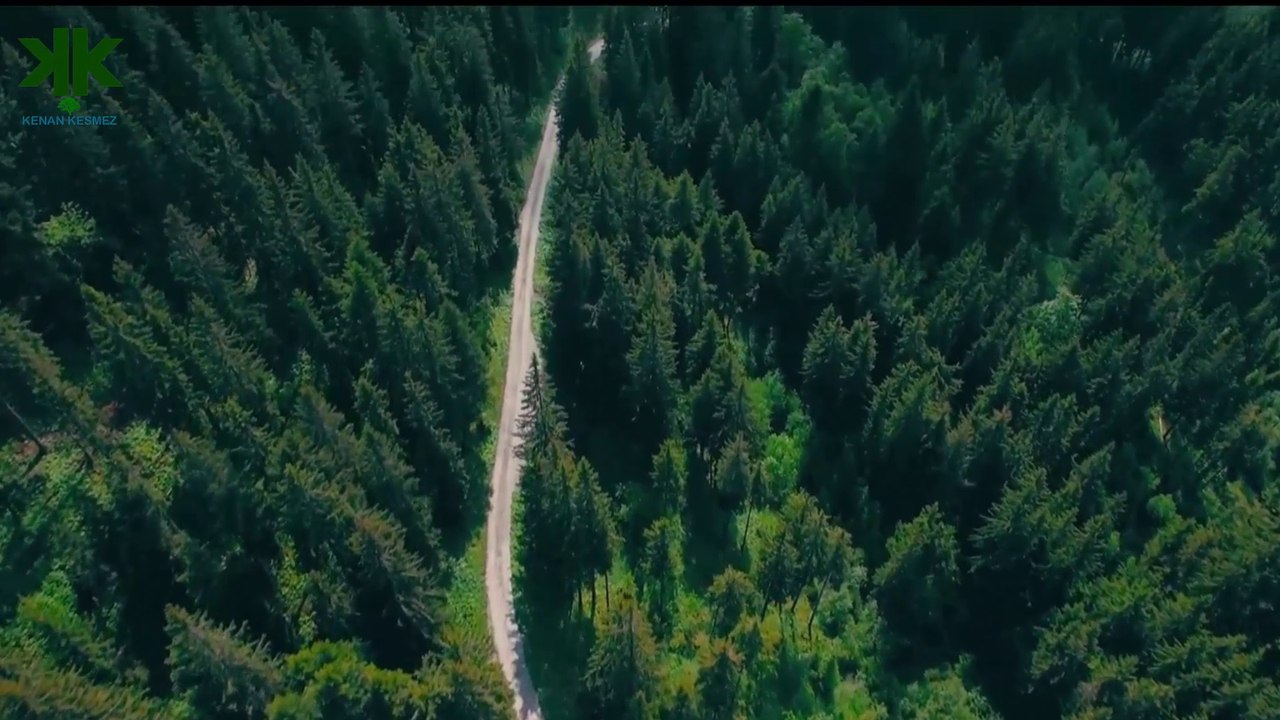 Doğada yön bulma yöntemleri - Yön bulma teknikleri