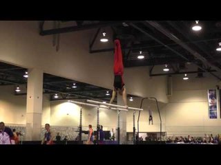 Andrew Herrador - Parallel Bars - 2016 Winter Cup Prelims