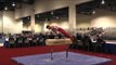 Yul Moldauer - Pommel Horse - 2016 Winter Cup Prelims