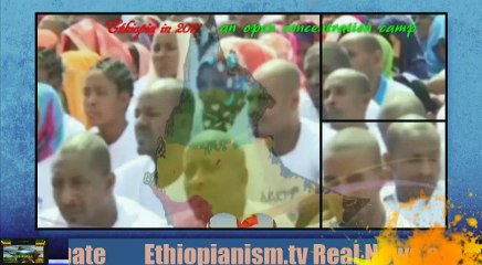 Azeb Mesfin the wife of the defunct Premier bleeding Ethiopia  financially
