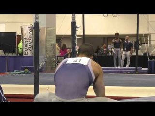 Danell Leyva - Parallel Bars - 2016 Winter Cup Prelims
