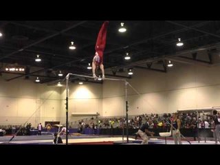 Allan Bower – High Bar – 2016 Winter Cup Prelims