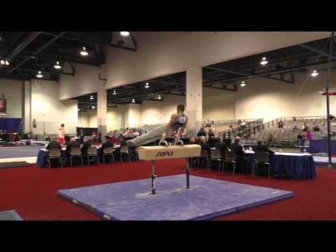 Sam Mikulak - Pommel Horse - 2016 Winter Cup Prelims