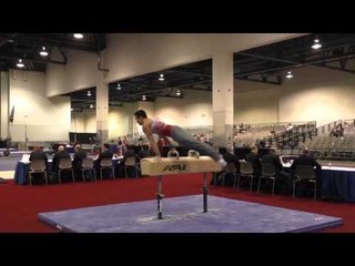 Sean Melton - Pommel Horse - 2016 Winter Cup Prelims