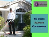 Find the pest control service provider in fontana, Upland