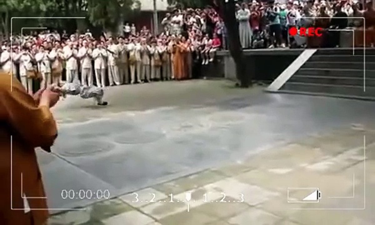Amazing, Real Shaolin Kung Fu - Beautiful and Strong