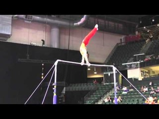 Zou Jingyuan (CHN) - High Bar - 2016 Pacific Rim Championships Team/AA Final