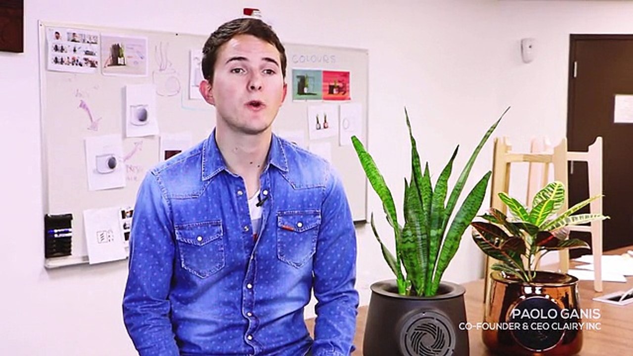 Amazing natural air purifier gadgets
