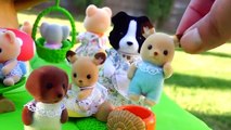 Calico Critters / Sylvanian Families Baby Discovery Forest Playset - The Broken Toy