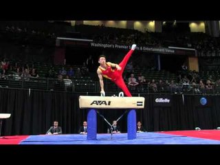 Zou Jingyuan (CHN) - Pommel Horse Final - 2016 Pacific Rim Championships