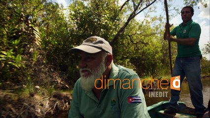 Passion Outremer : Yo soy croco libre (bande-annonce)