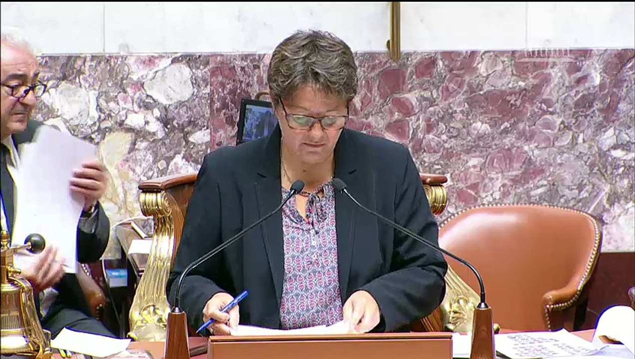 Bilde (FN) qualifie La France insoumise "d'islamo-gauchistes"