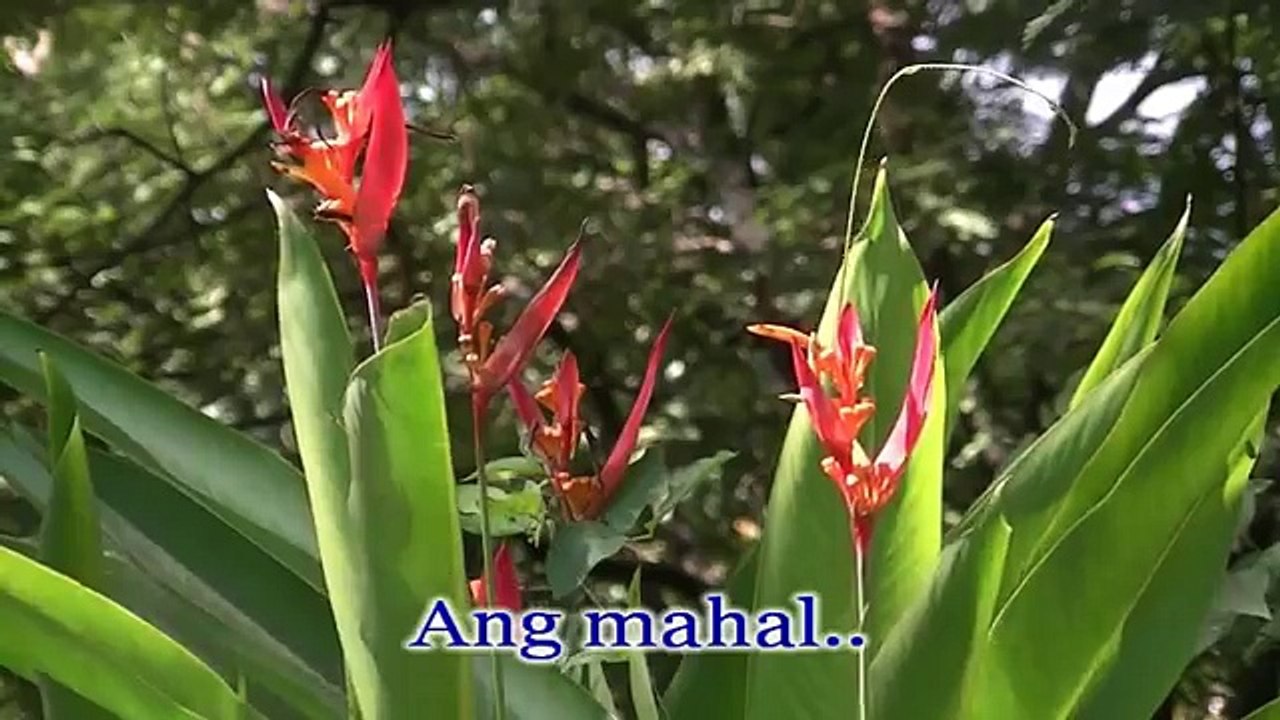 Akoy Sayo (At Ikay Akin Lamang) - First Circle KARAOKE HD